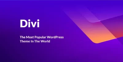 Divi Theme WP Download